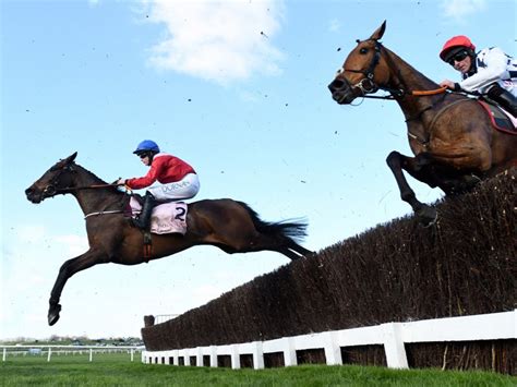 timeform racing results|yesterday's racing results timeform.